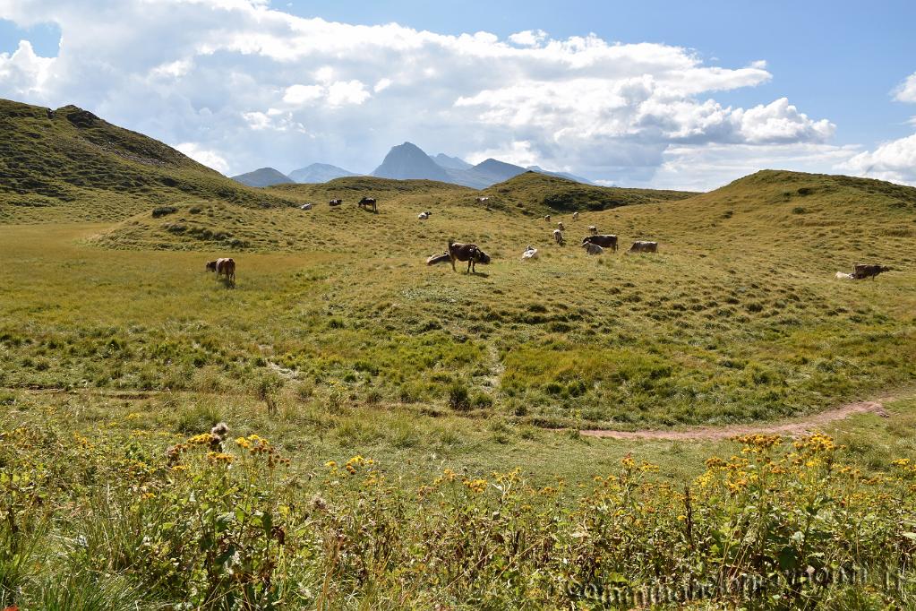 21 Trekking del Cristo Pensante.JPG